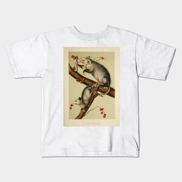 Vintage Opossums Kids T-Shirt by bluespecsstudio